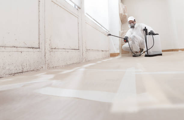 24/7 Emergency Mold Remediation experts in Dupont, PA